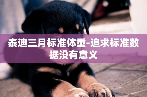 泰迪三月標準體重-追求標準數據沒有意義