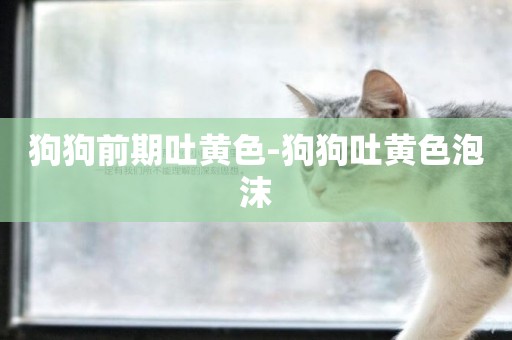 狗狗前期吐黃色-狗狗吐黃色泡沫
