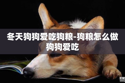 冬天狗狗愛吃狗糧-狗糧怎么做狗狗愛吃
