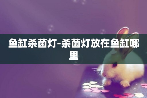 魚缸殺菌燈-殺菌燈放在魚缸哪里