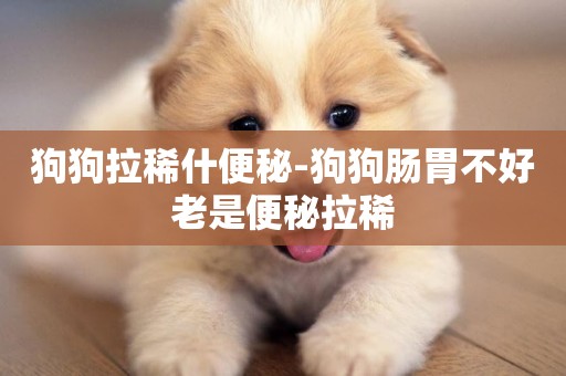 狗狗拉稀什便秘-狗狗腸胃不好老是便秘拉稀