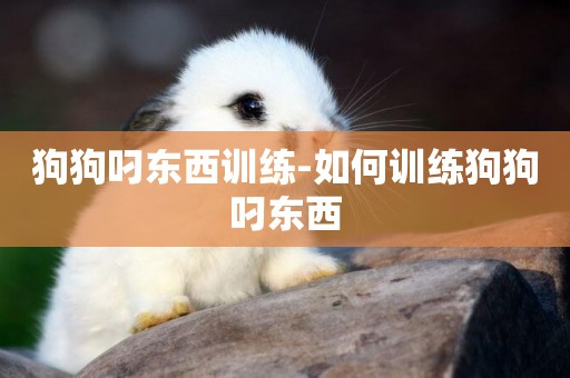 狗狗叼東西訓練-如何訓練狗狗叼東西