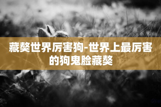 藏獒世界厲害狗-世界上最厲害的狗鬼臉藏獒