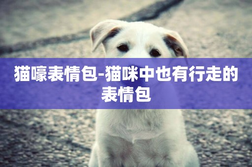 貓嚎表情包-貓咪中也有行走的表情包