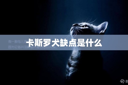 卡斯羅犬缺點是什么
