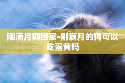 剛滿月狗回家-剛滿月的狗可以吃蛋黃嗎
