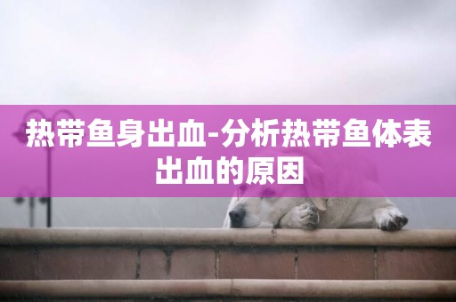 熱帶魚身出血-分析熱帶魚體表出血的原因