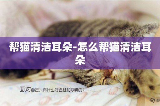 幫貓清潔耳朵-怎么幫貓清潔耳朵