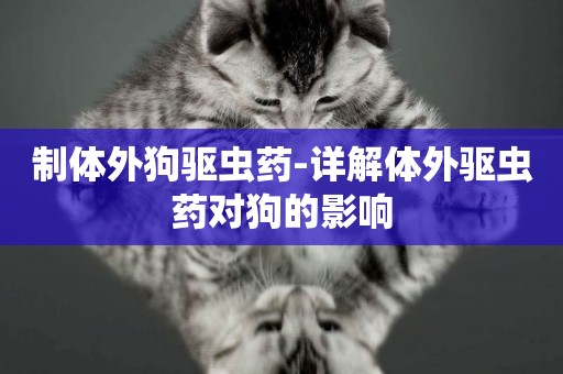制體外狗驅蟲藥-詳解體外驅蟲藥對狗的影響
