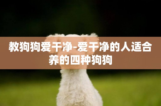 教狗狗愛干凈-愛干凈的人適合養的四種狗狗