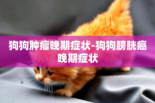 狗狗腫瘤晚期癥狀-狗狗膀胱癌晚期癥狀