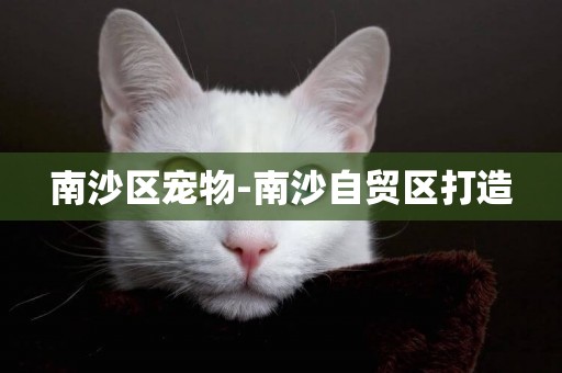 南沙區寵物-南沙自貿區打造