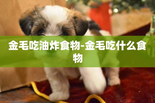 金毛吃油炸食物-金毛吃什么食物