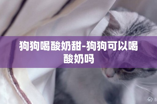 狗狗喝酸奶甜-狗狗可以喝酸奶嗎