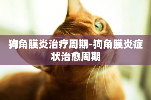 狗角膜炎治療周期-狗角膜炎癥狀治愈周期