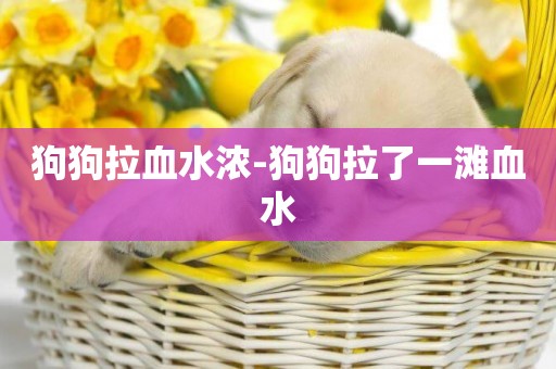 狗狗拉血水濃-狗狗拉了一灘血水