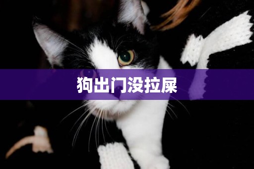 狗出門沒拉屎
