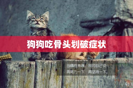 狗狗吃骨頭劃破癥狀
