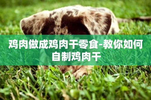 雞肉做成雞肉干零食-教你如何自制雞肉干