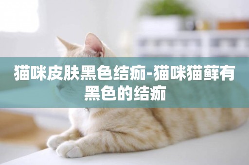 貓咪皮膚黑色結痂-貓咪貓蘚有黑色的結痂