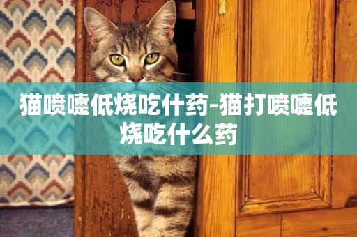 貓噴嚏低燒吃什藥-貓打噴嚏低燒吃什么藥