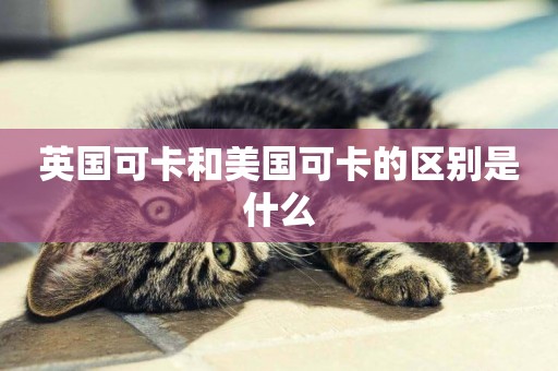 英國可卡和美國可卡的區別是什么