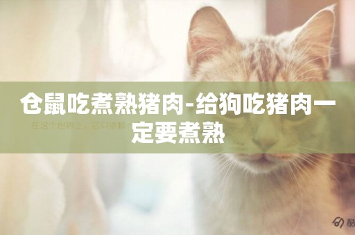 倉鼠吃煮熟豬肉-給狗吃豬肉一定要煮熟