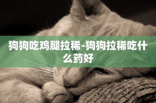 狗狗吃雞腿拉稀-狗狗拉稀吃什么藥好