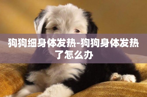 狗狗細身體發熱-狗狗身體發熱了怎么辦