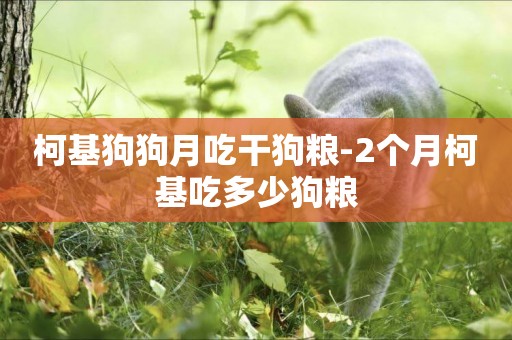 柯基狗狗月吃干狗糧-2個月柯基吃多少狗糧