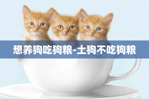 想養狗吃狗糧-土狗不吃狗糧