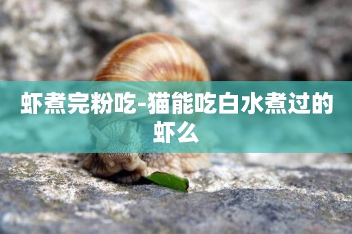蝦煮完粉吃-貓能吃白水煮過的蝦么