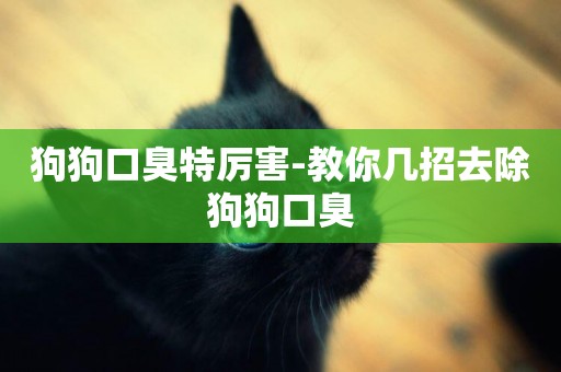 狗狗口臭特厲害-教你幾招去除狗狗口臭