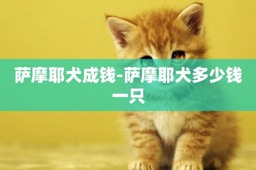 薩摩耶犬成錢-薩摩耶犬多少錢一只