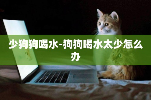 少狗狗喝水-狗狗喝水太少怎么辦