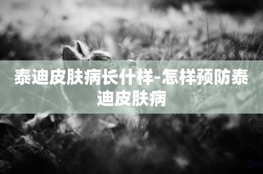 泰迪皮膚病長什樣-怎樣預防泰迪皮膚病