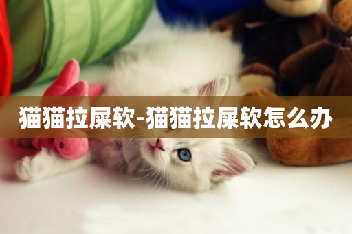貓貓拉屎軟-貓貓拉屎軟怎么辦
