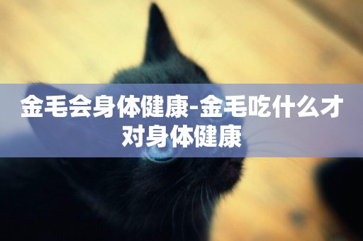 金毛會身體健康-金毛吃什么才對身體健康