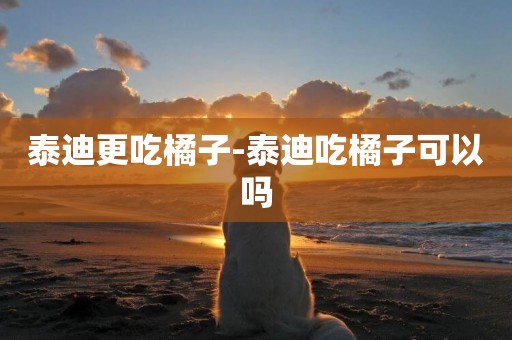 泰迪更吃橘子-泰迪吃橘子可以嗎