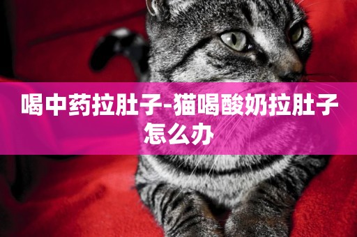 喝中藥拉肚子-貓喝酸奶拉肚子怎么辦