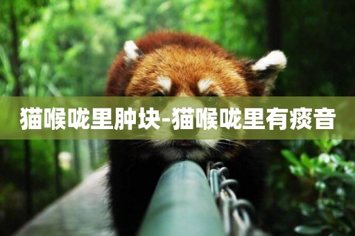 貓喉嚨里腫塊-貓喉嚨里有痰音