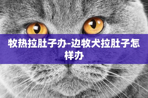 牧熱拉肚子辦-邊牧犬拉肚子怎樣辦