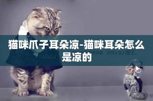貓咪爪子耳朵涼-貓咪耳朵怎么是涼的