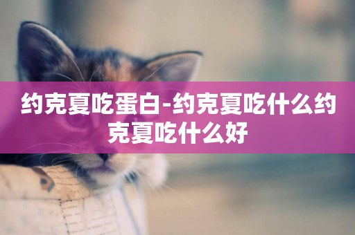 約克夏吃蛋白-約克夏吃什么約克夏吃什么好