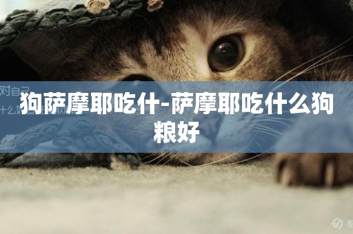 狗薩摩耶吃什-薩摩耶吃什么狗糧好