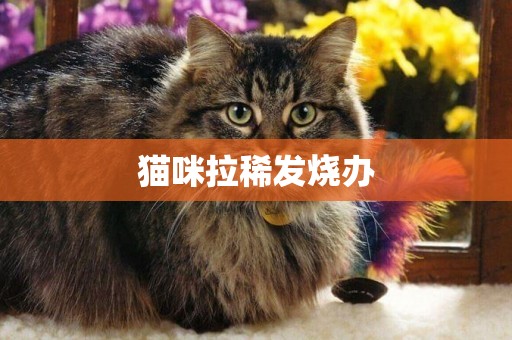 貓咪拉稀發燒辦