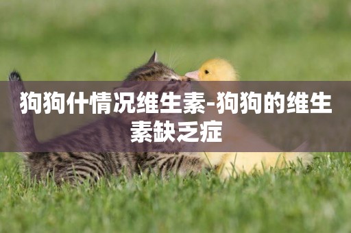 狗狗什情況維生素-狗狗的維生素缺乏癥