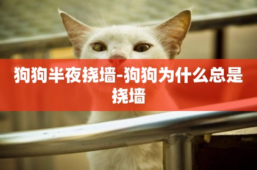 狗狗半夜撓墻-狗狗為什么總是撓墻