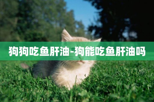 狗狗吃魚肝油-狗能吃魚肝油嗎