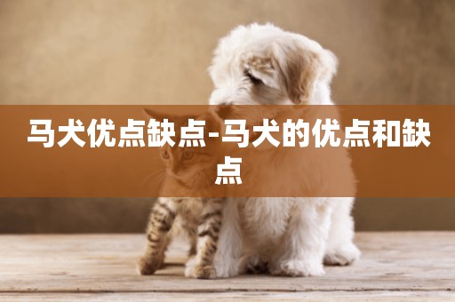馬犬優點缺點-馬犬的優點和缺點
